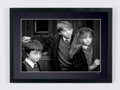 Harry Potter and the Sourcerer‘s Stone - Daniel Radcliffe,, Verzamelen, Film en Tv