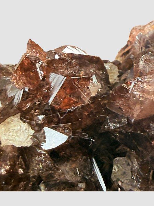 Alpine juweel-kwaliteit Axinite met Epidote – Bourg, Collections, Minéraux & Fossiles