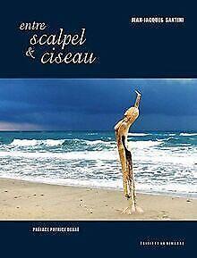 Entre scalpel & ciseau  Santini, Jean-Jacques  Book, Livres, Livres Autre, Envoi