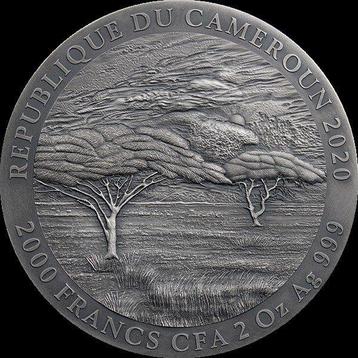 Cameroun. 2000 Francs 2020 Panthera Leo Expressions of beschikbaar voor biedingen