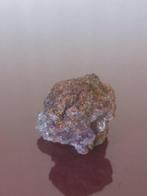 PALASITA SERICHO. Volledig exemplaar. Zonder reserveprijs!!!, Verzamelen