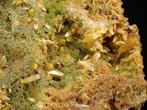 Wulfeniet met fluorescerende mimetiet Kristallen op matrix -