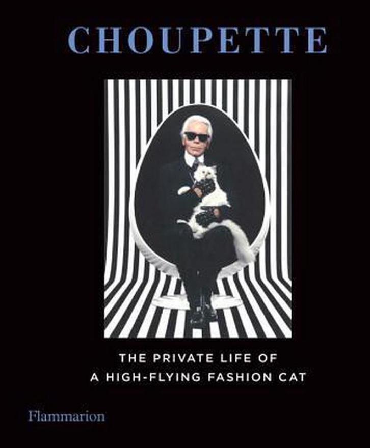 Choupette 9782080202086 Patrick Mauries, Livres, Langue | Anglais, Envoi