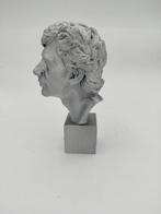 Figure - Ayrton Senna - Ferrari - Polymère