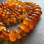 Natuurlijke Baltische amber donutvormige stenen ketting van