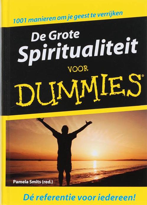 Grote Spiritualiteit v Dummies 9789043015127, Livres, Ésotérisme & Spiritualité, Envoi