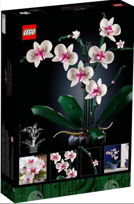 Lego Set - 10311 - Botanical Collection - Orchid, Kinderen en Baby's, Speelgoed | Duplo en Lego
