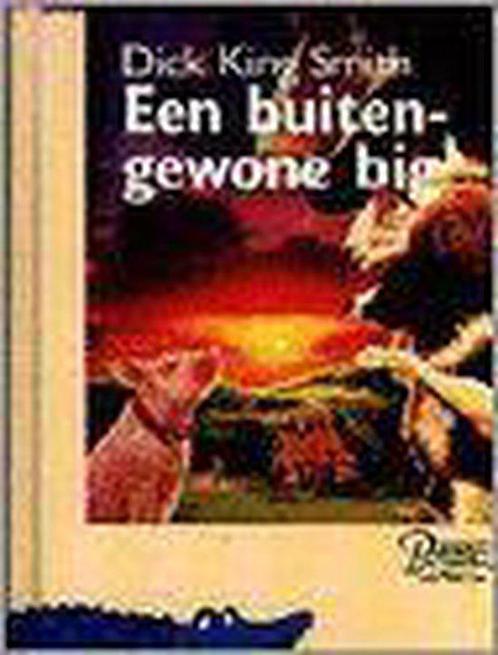 Een buitengewone big 9789066922204, Boeken, Kinderboeken | Jeugd | 13 jaar en ouder, Gelezen, Verzenden