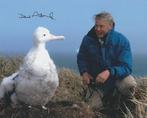 TV and Documentary Legend - Signed by Sir David Attenborough, Verzamelen, Nieuw