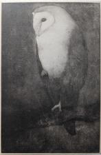 Jan Mankes (1889-1920), after - Uil op Boomtak