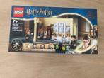 Lego - Harry Potter - 76386 - Polyjuice potion mistake