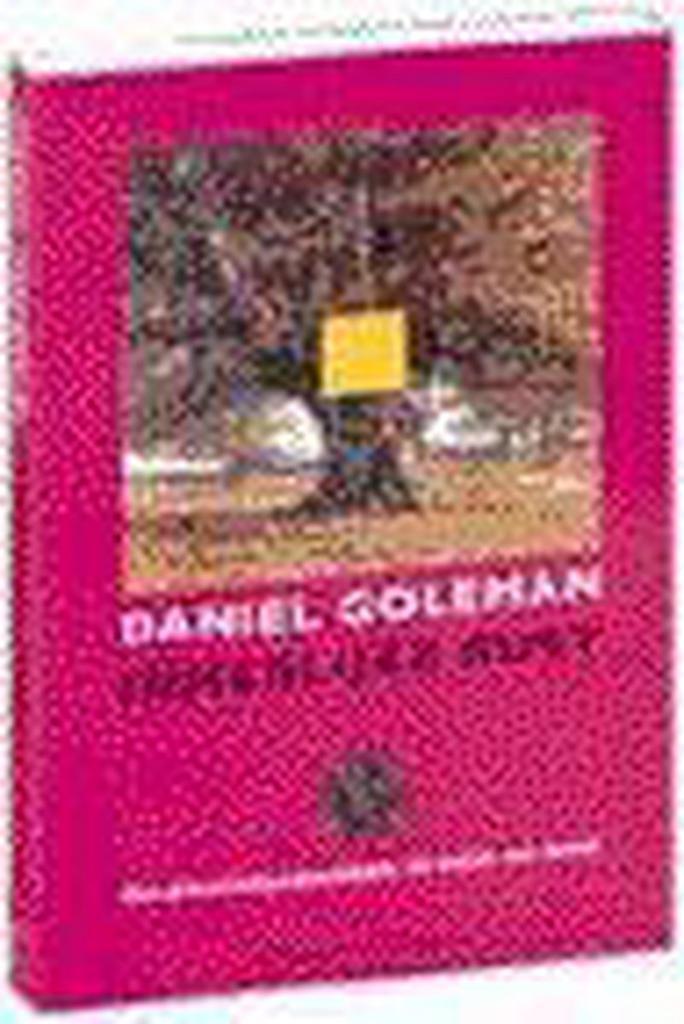 INNERLIJKE RUST 9789025421236 Daniel Goleman, Boeken, Esoterie en Spiritualiteit, Gelezen, Verzenden