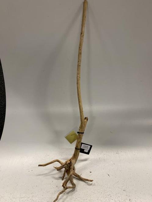 Boutique Stump Selected BS118 - 95x14x27cm (Natuurlijk hout), Dieren en Toebehoren, Vissen | Aquaria en Toebehoren, Plant(en), Steen of Hout