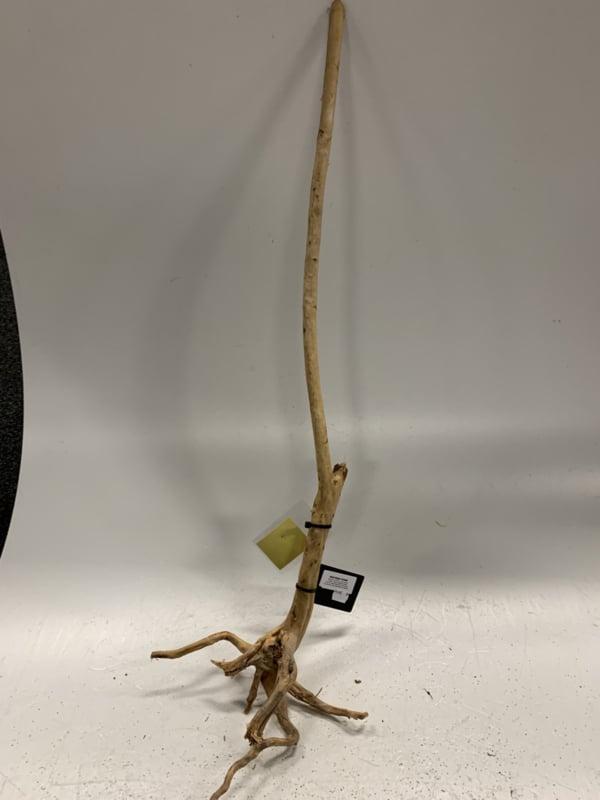 Boutique Stump Selected BS118 - 95x14x27cm (Natuurlijk hout), Dieren en Toebehoren, Vissen | Aquaria en Toebehoren, Plant(en), Steen of Hout