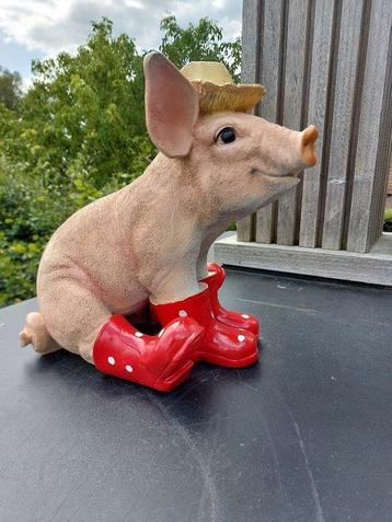 Beeld, young pig with boots - 29 cm - polyresin