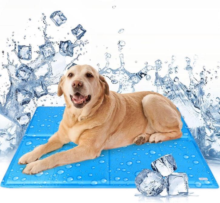 Nobleza Koelmat voor honden en katten - 70x110cm - Blauw •, Dieren en Toebehoren, Honden-accessoires, Nieuw, Verzenden