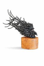 Gabor M Szoke - Flying puppy