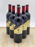 2017 Chateau Latour-Martillac - Pessac-Léognan Grand Cru, Collections