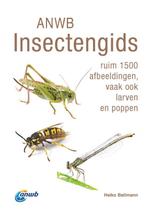 ANWB natuurgidsen  -   ANWB Insectengids 9789021585888, Heiko Bellmann, Zo goed als nieuw, Verzenden