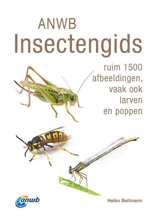 ANWB natuurgidsen  -   ANWB Insectengids 9789021585888, Boeken, Dieren en Huisdieren, Zo goed als nieuw, Verzenden