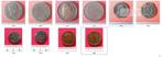 Nederland. Lot van 14 munten en penningen (#498),