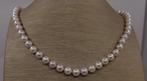 Collier Argent, Perles Akoya brillantes de 7x7,5 mm - Perles