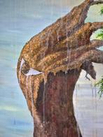 Grzegorz Gust - Drzewo