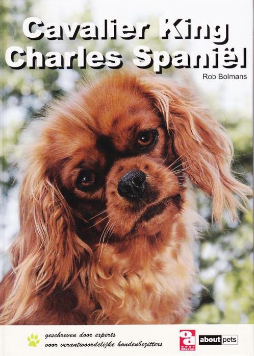 Cavalier King Charles spaniël / Over Dieren 9789058216113, Boeken, Hobby en Vrije tijd, Gelezen, Verzenden