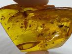Amber - Fossiel fragment - 40 mm - 24 mm (Zonder