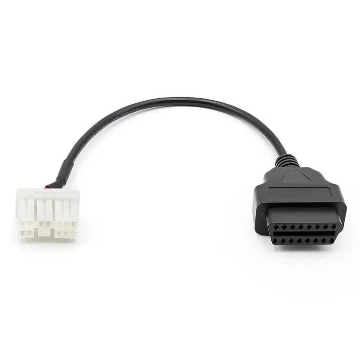 Tesla 12-pins OBD – 16-pins OBD2 Verloopkabel | Personenauto, Auto diversen, Autogereedschap, Verzenden