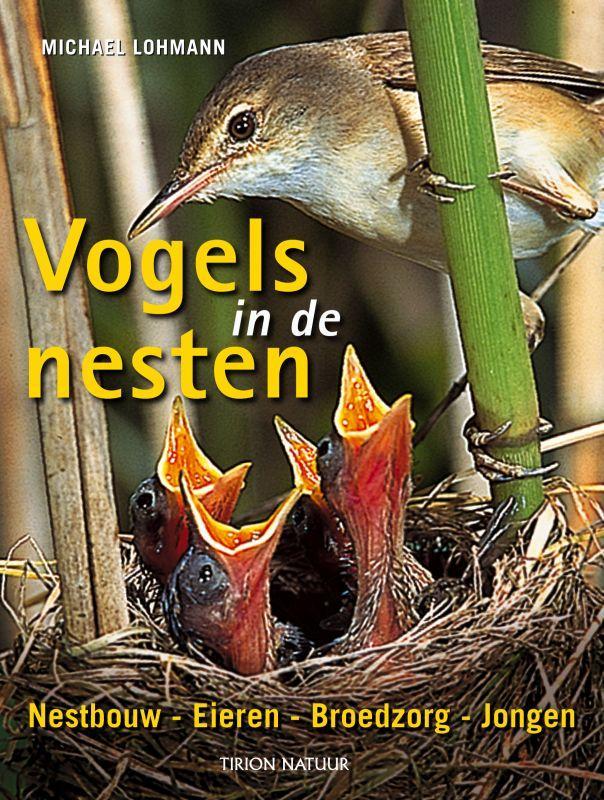 Vogels in de nesten 9789052105468 Michael Lohmann, Boeken, Hobby en Vrije tijd, Gelezen, Verzenden