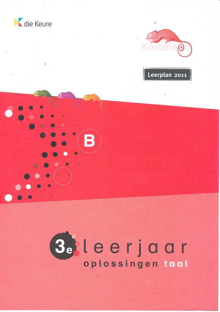 Kameleon Oplossingen Taal A 3e Leerjaar (zie omschrijving), Boeken, Schoolboeken, Verzenden