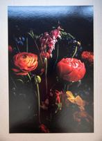 Viet Ha Tran - Secret whisper