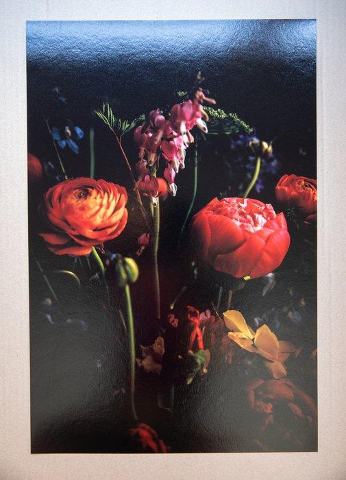 Viet Ha Tran - Secret whisper, Antiek en Kunst, Kunst | Designobjecten