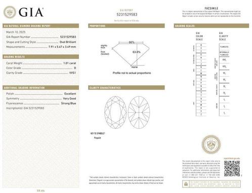 1 pcs Diamant (Naturelle) - 1.01 ct - Oval - D (incolore) -, Handtassen en Accessoires, Edelstenen