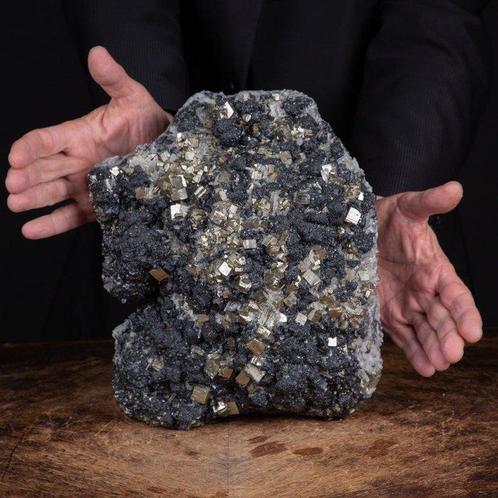 Formation rare de quatre minéraux - Galène, quartz, pyrite, Verzamelen, Dierenverzamelingen