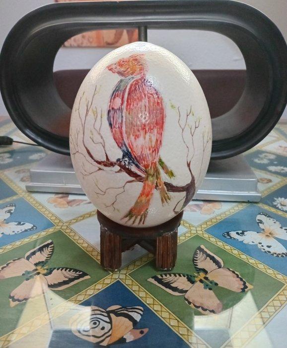Struisvogel Ei - Avestruz - 22 cm - 43 cm - 12 cm - (1), Antiek en Kunst, Curiosa en Brocante