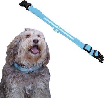 Tweedekans | Dutchwide Lichtgevende Halsband Hond - Extra beschikbaar voor biedingen